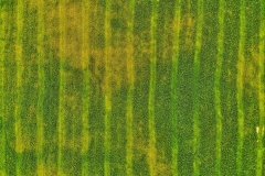 created by dji camera