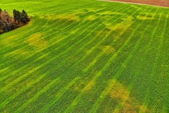 created by dji camera